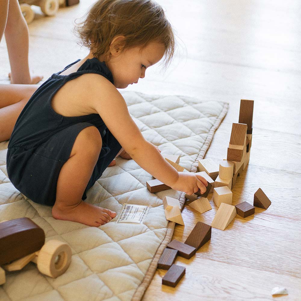 Warren Hill Goki Nature Building Blocks Wooden Toys