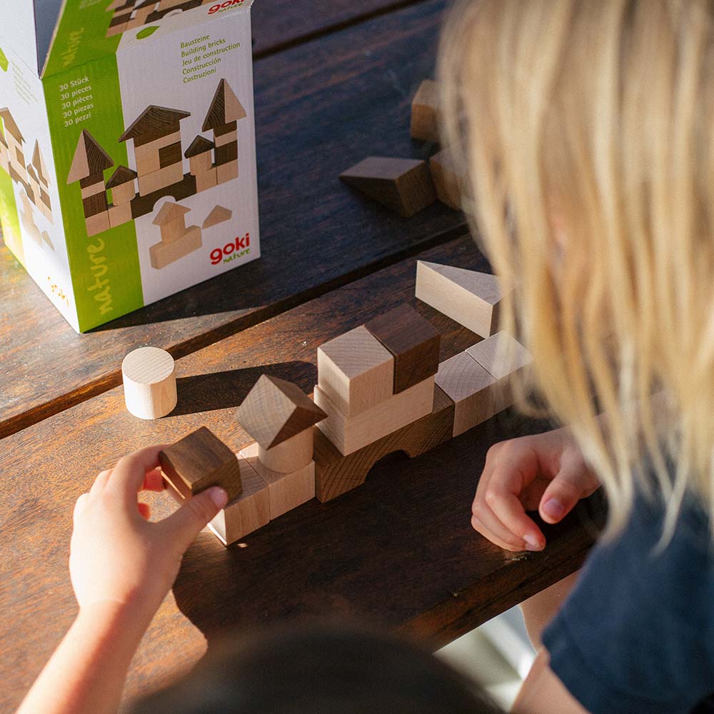 Warren Hill Goki Nature Building Blocks Wooden Toys
