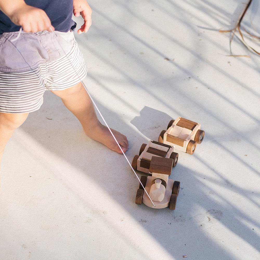 Warren Hill Goki Nature Train Amsterdam Wooden Toys